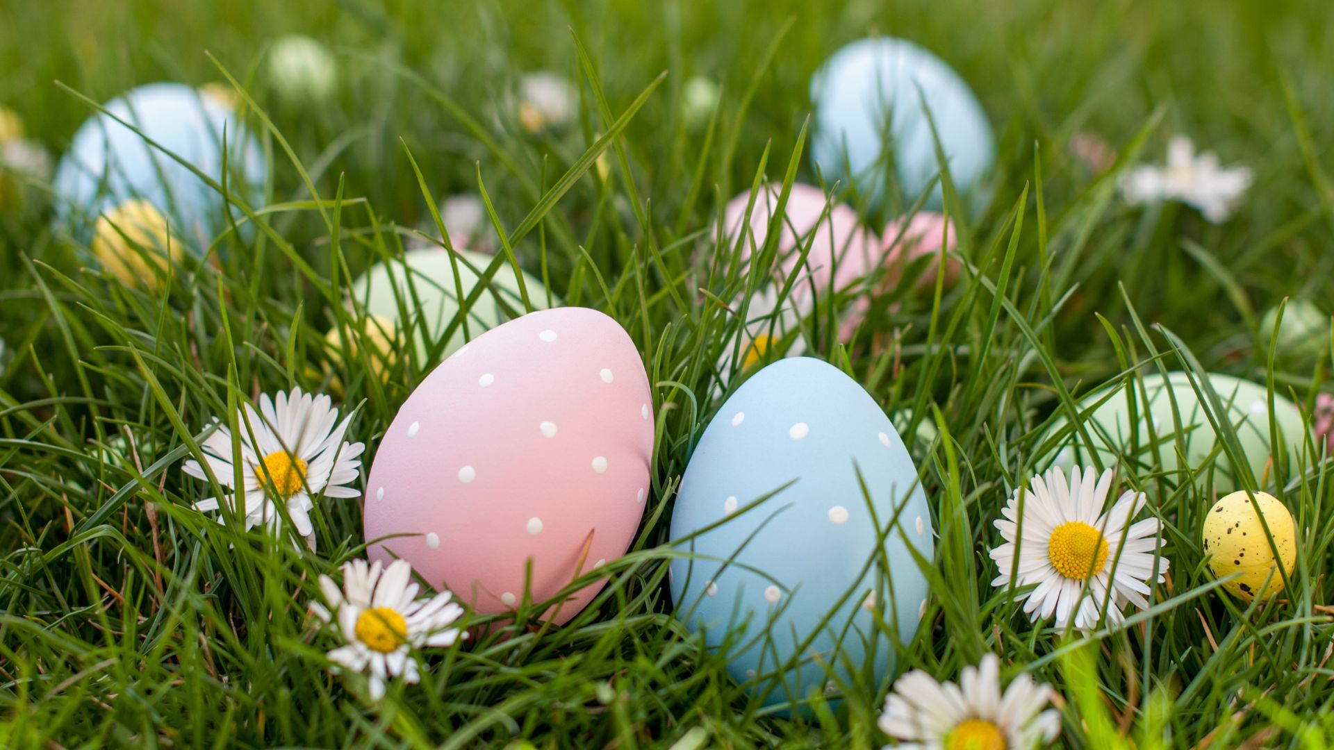 Easter Egg Hunts in Boerne