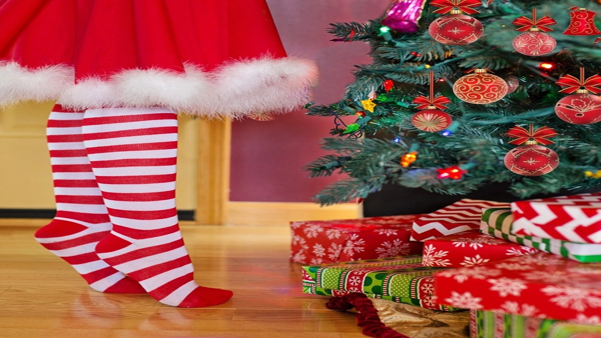 Holiday Drop-Off Event at Wonderland Factory