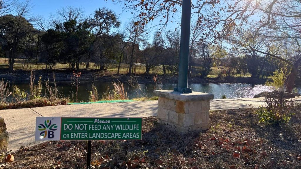 Don't feed the ducks