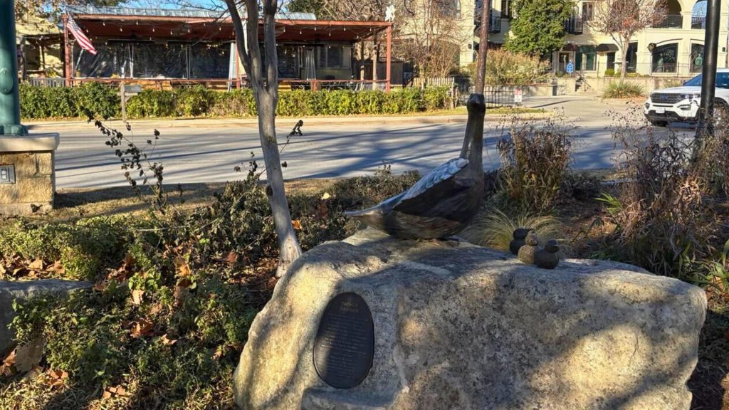 Don't run over the ducks