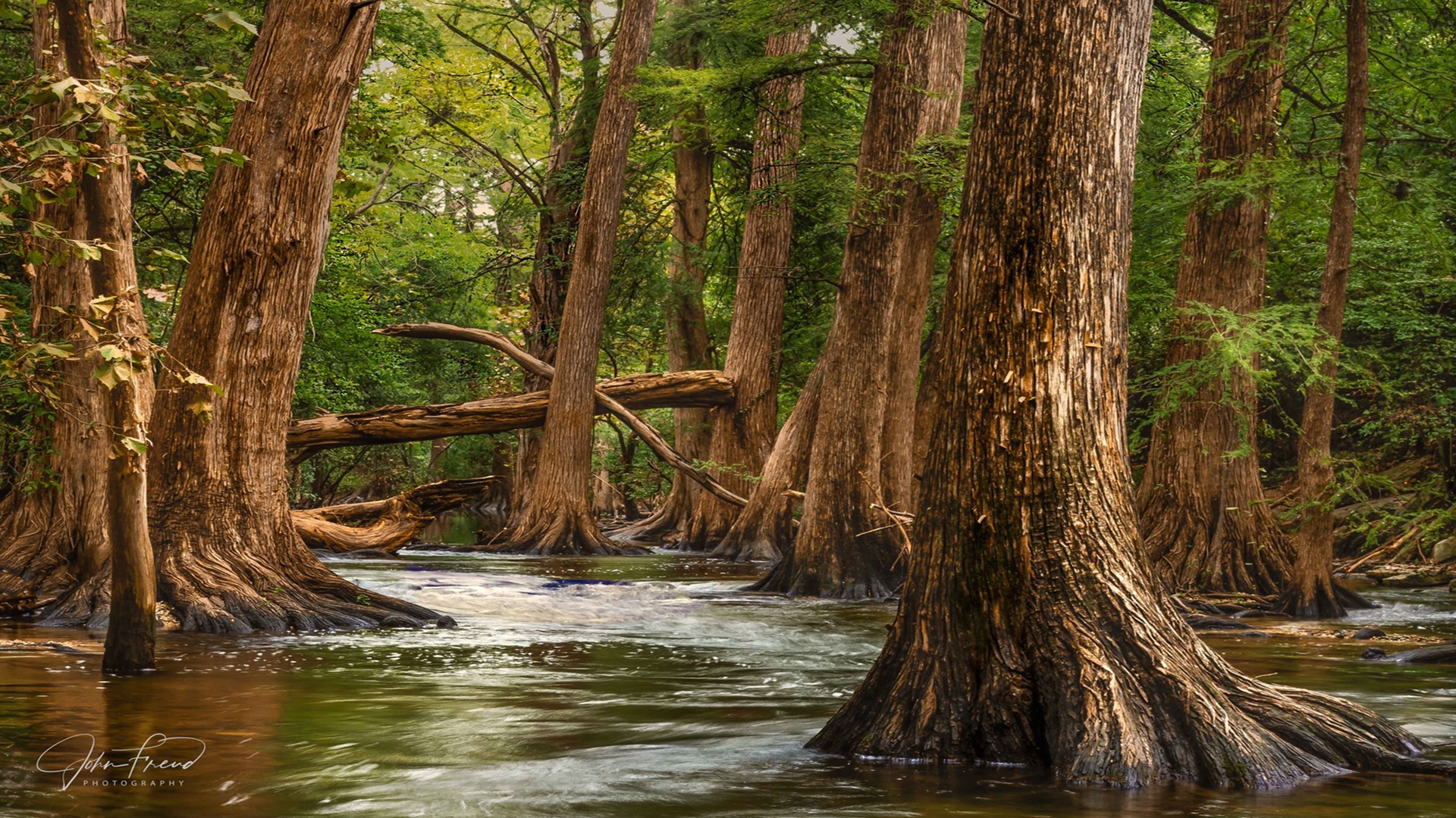 Open House for Photographer John Freud at Carriage House Gallery