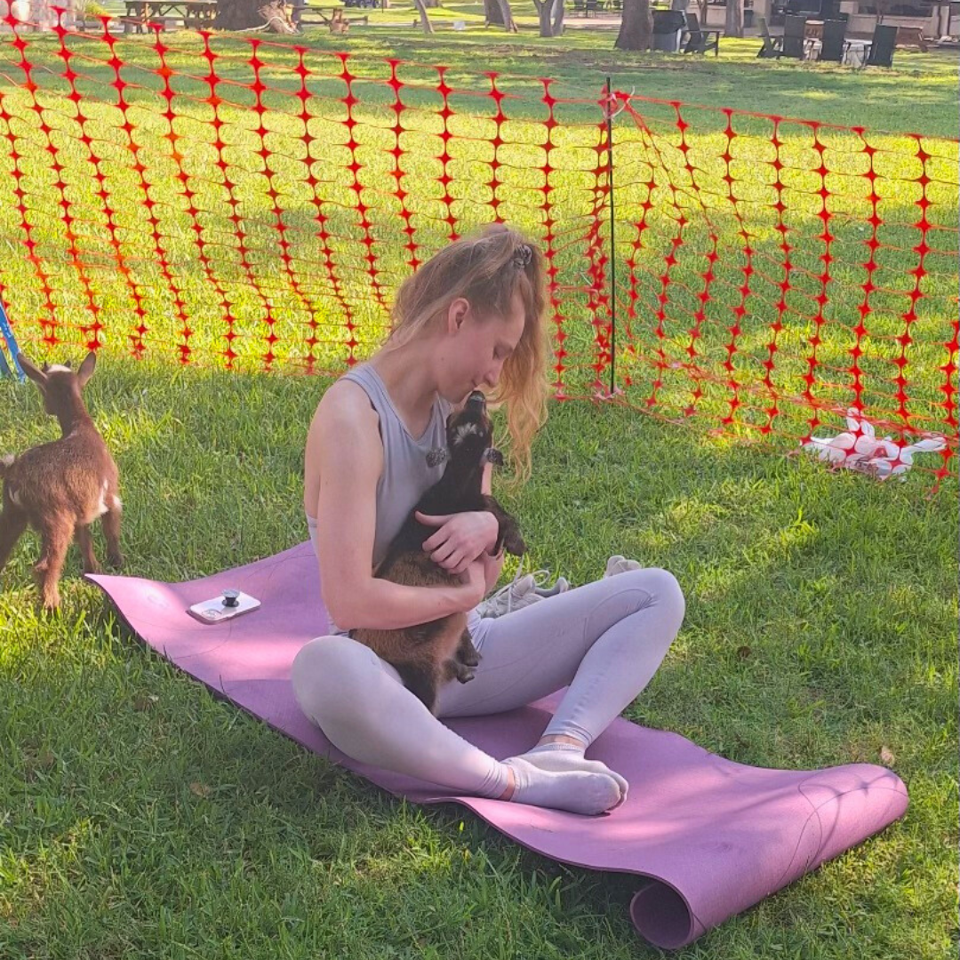 Goat Yoga at Herff farm