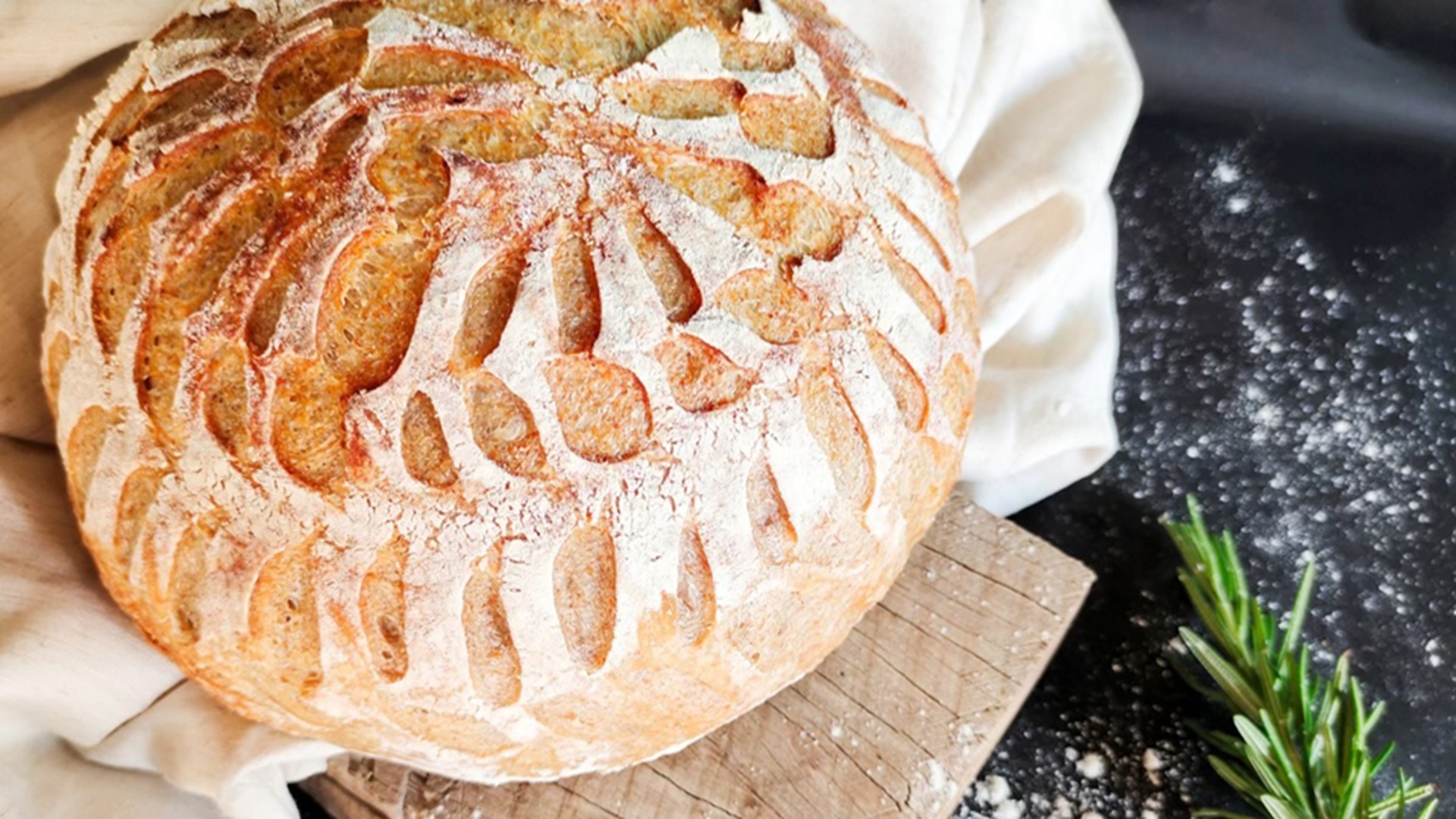 Sourdough Workshop at The Cibolo Center for Conservation