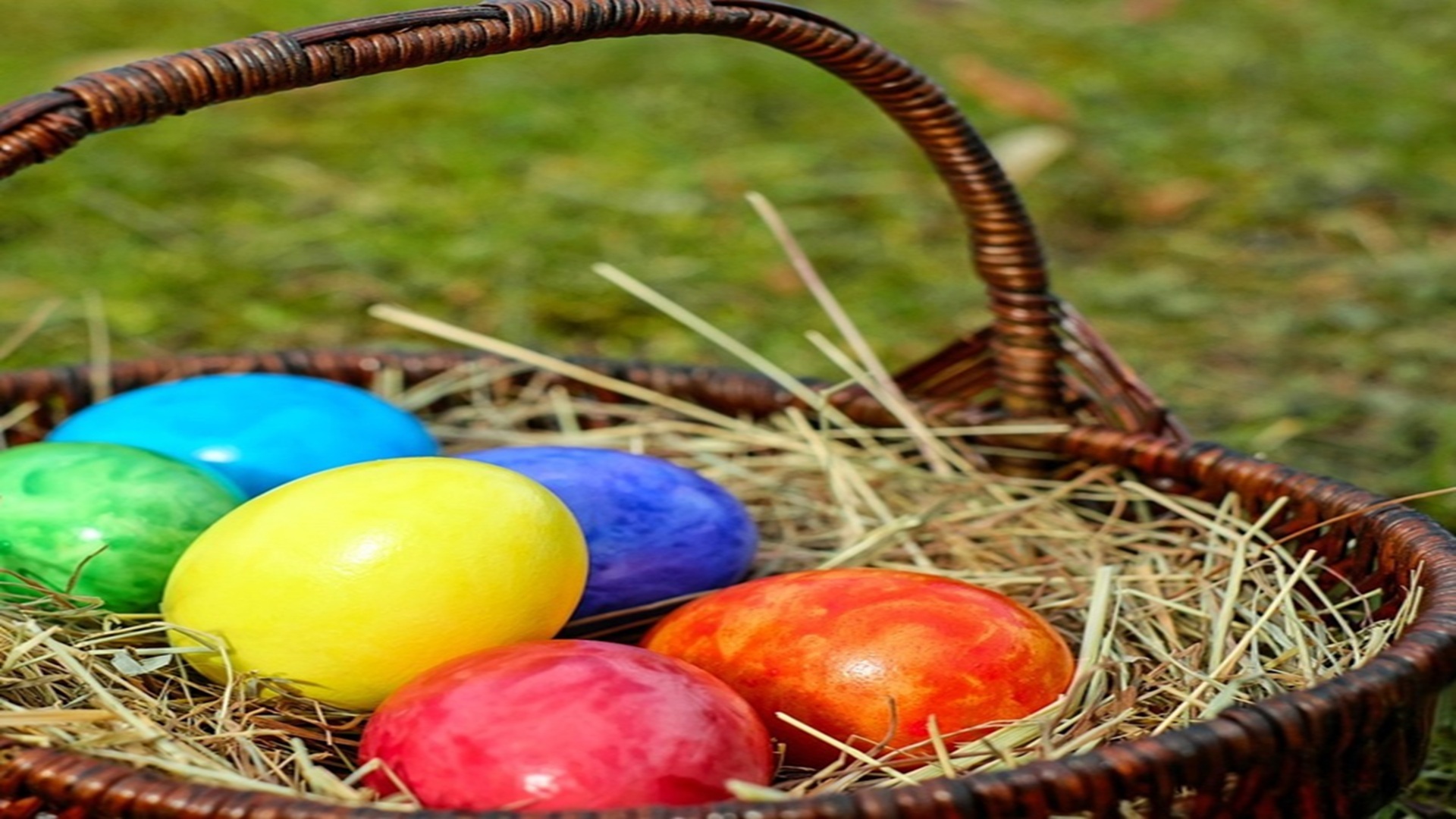 Pure Country Easter Egg Hunt at Pure Country BBQ & Grill