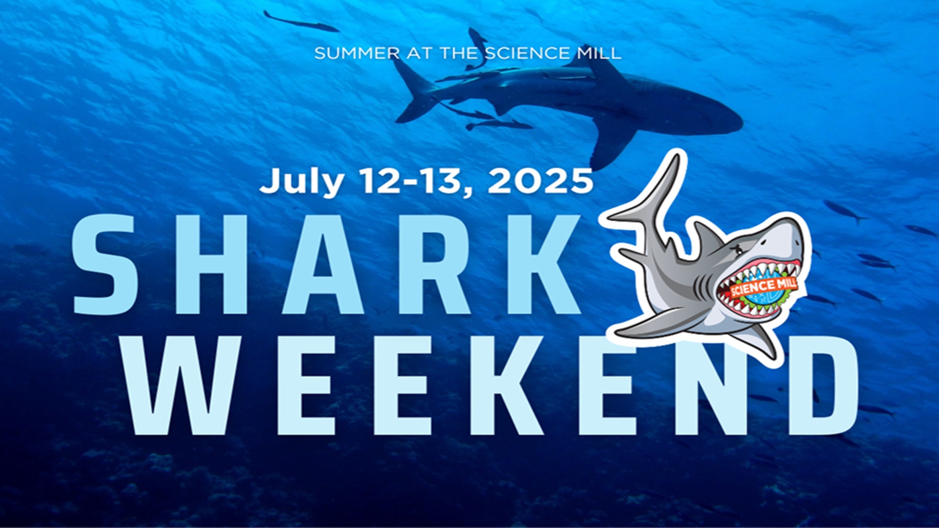 Shark Weekend at Science Mill
