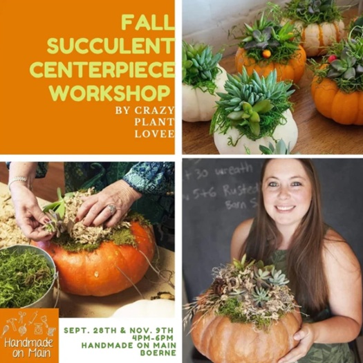 Succulent Pumpkin Centerpiece Workshop at Handmade on Main