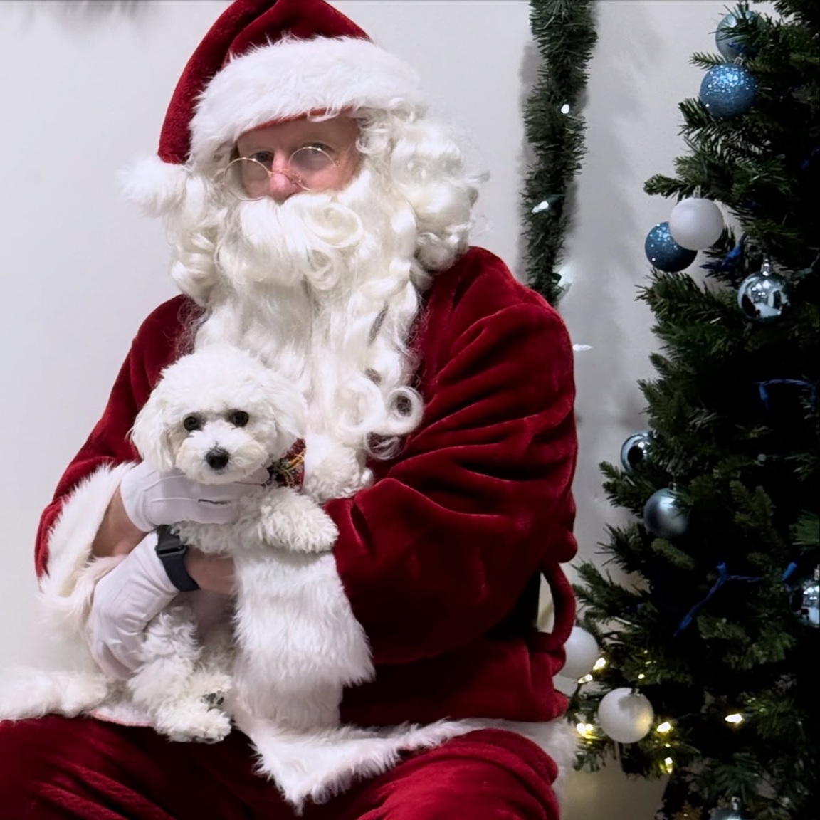 Santa Photos at Bones and Bubbles Dog Spa