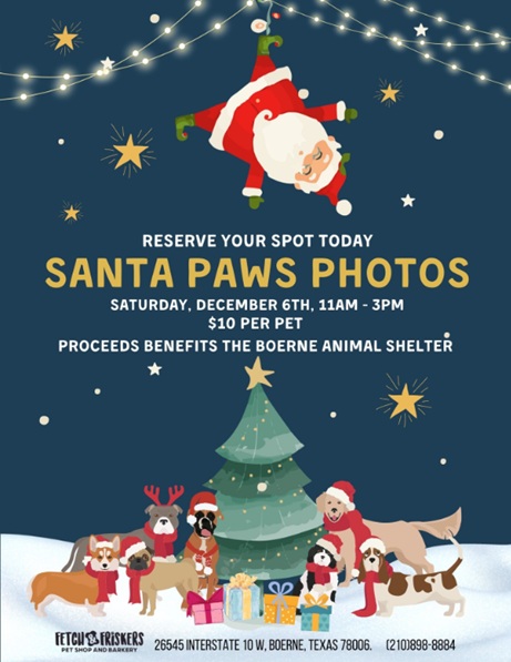 Santa Paws Photos at Fetch and Friskers