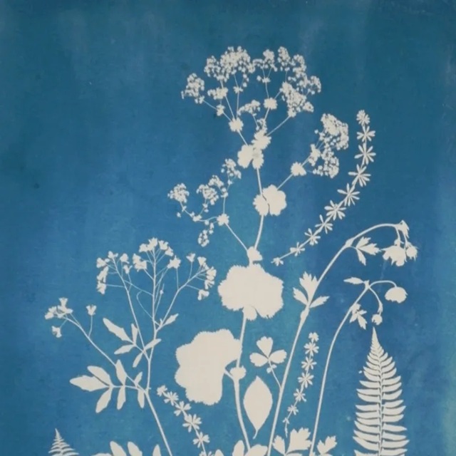 Art AfterHours – Solar Printing at Hill Country Council for the Arts