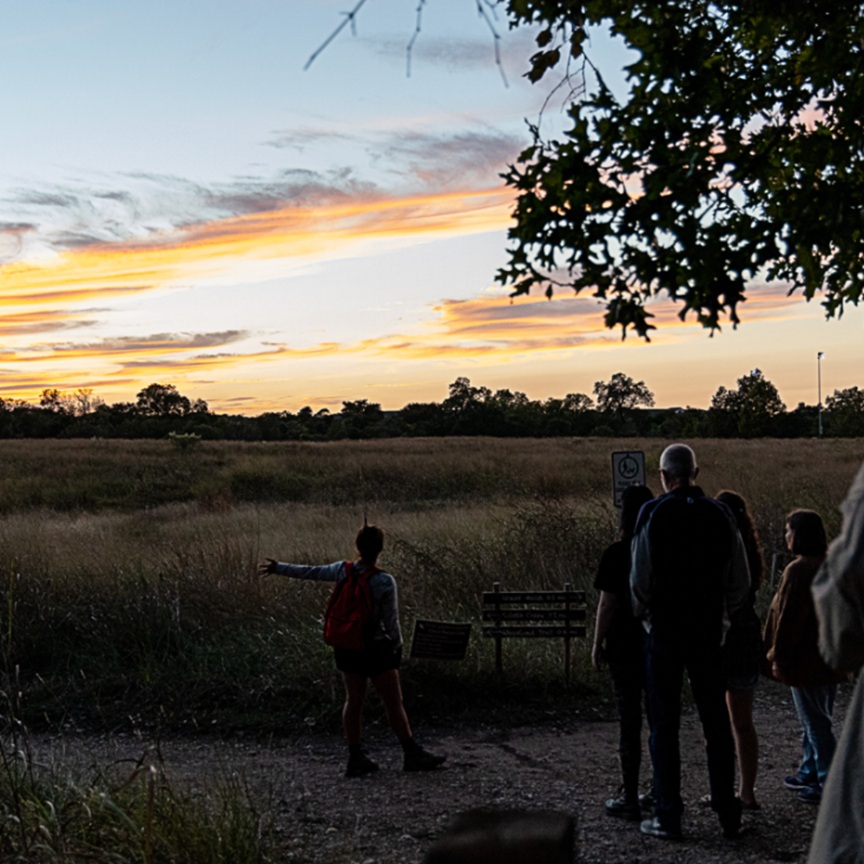 Adult Night Hike at Cibolo Center for Conservation