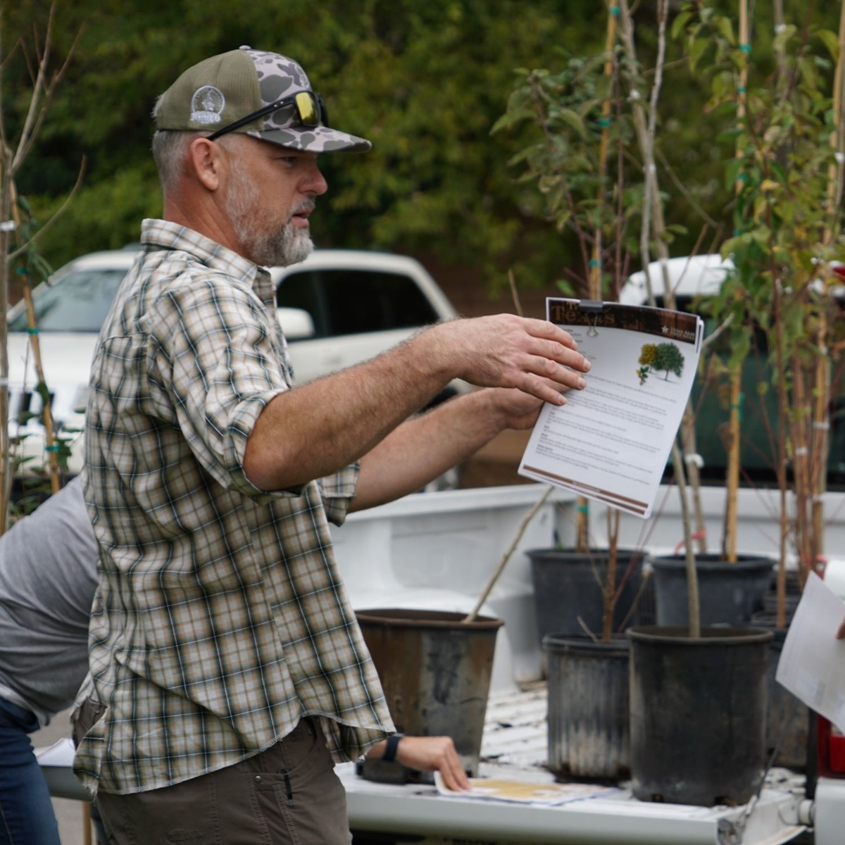 Free Tree Giveaway at Boerne City Hall Green Space