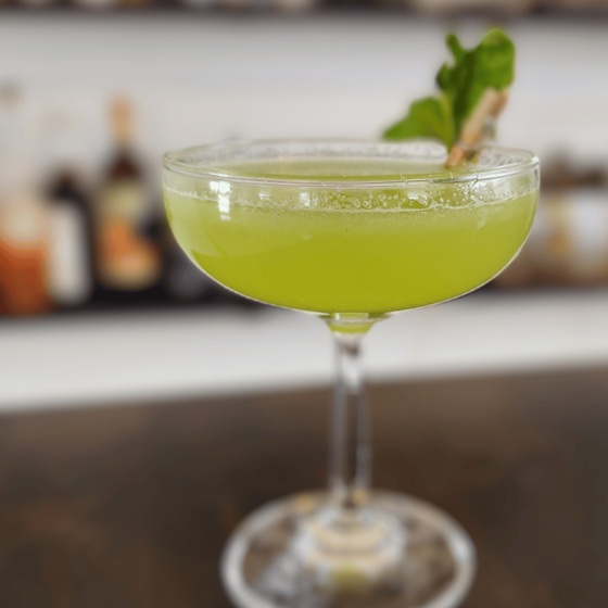 Botanical Infusions Cocktail Workshop at Assemble Cocktail Workshop