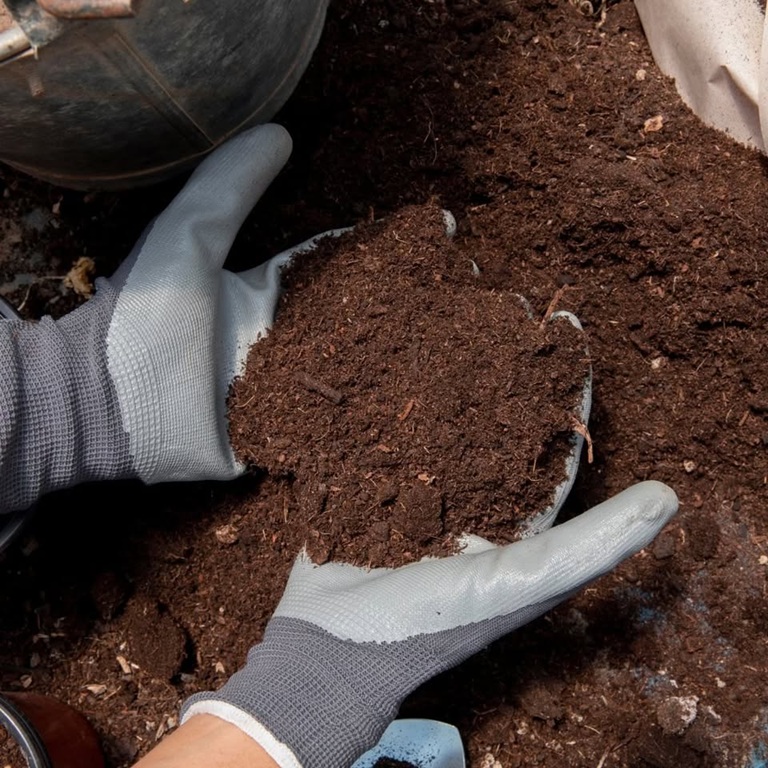 Composting Workshop: Turning Scraps into Soil at Herff Farm
