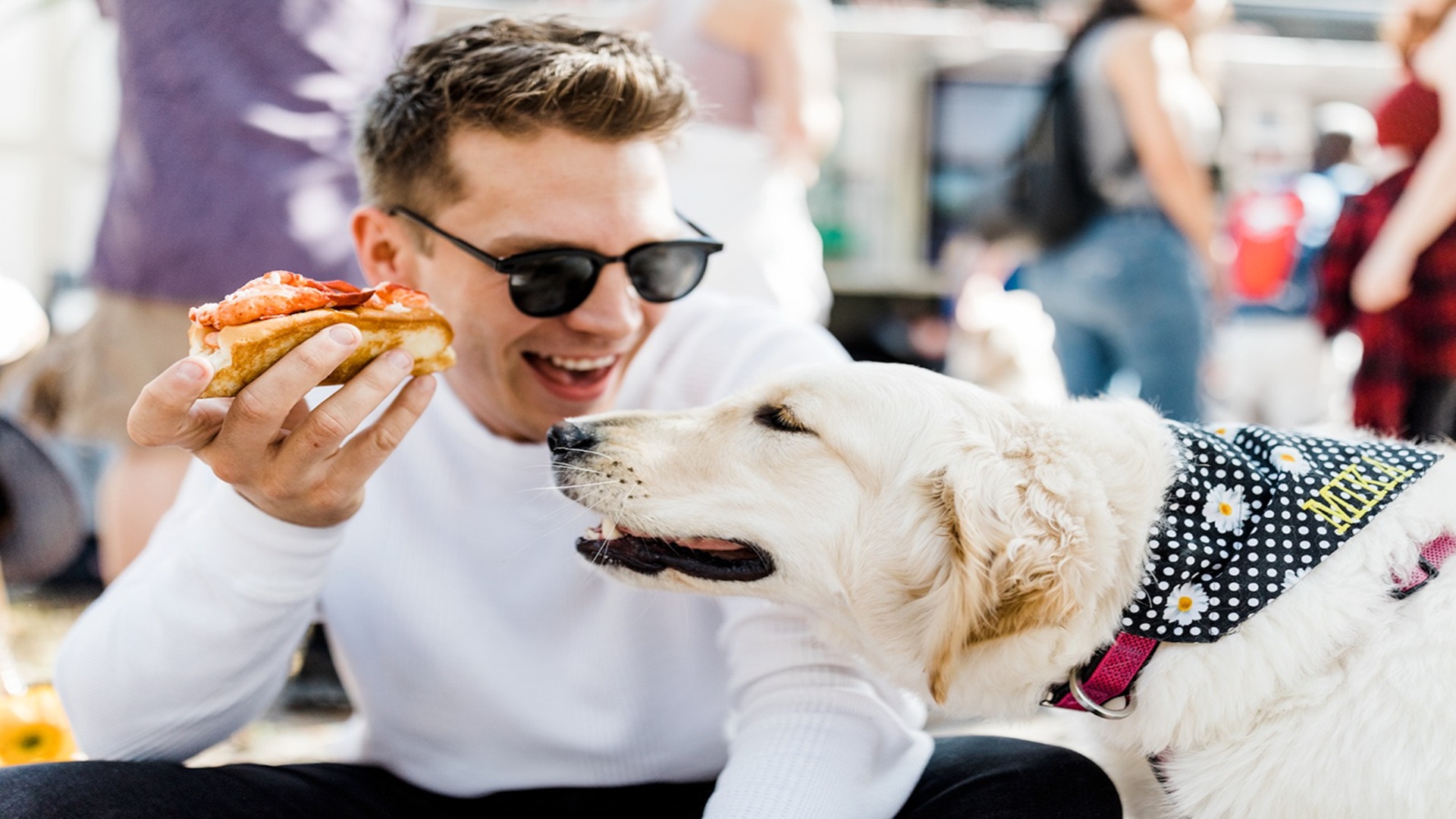 Cousins Maine Lobster at The Roots at Boerne