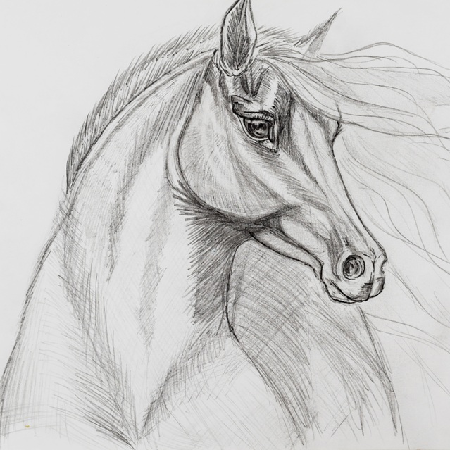 Drawing Group for Adults at Patrick Heath Public Library