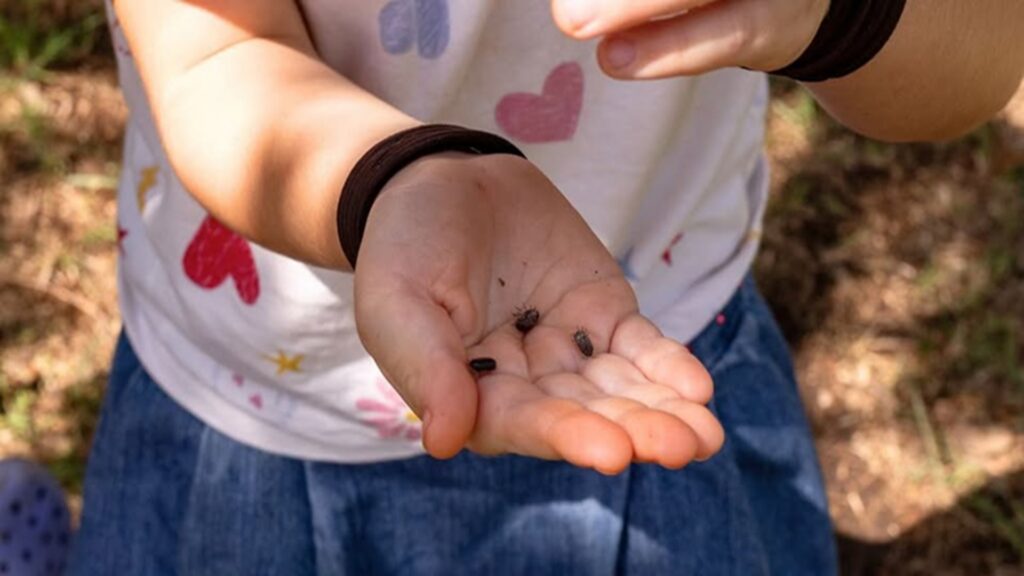 Earth Day Scavenger Hunt at The Cibolo Center for Conservation