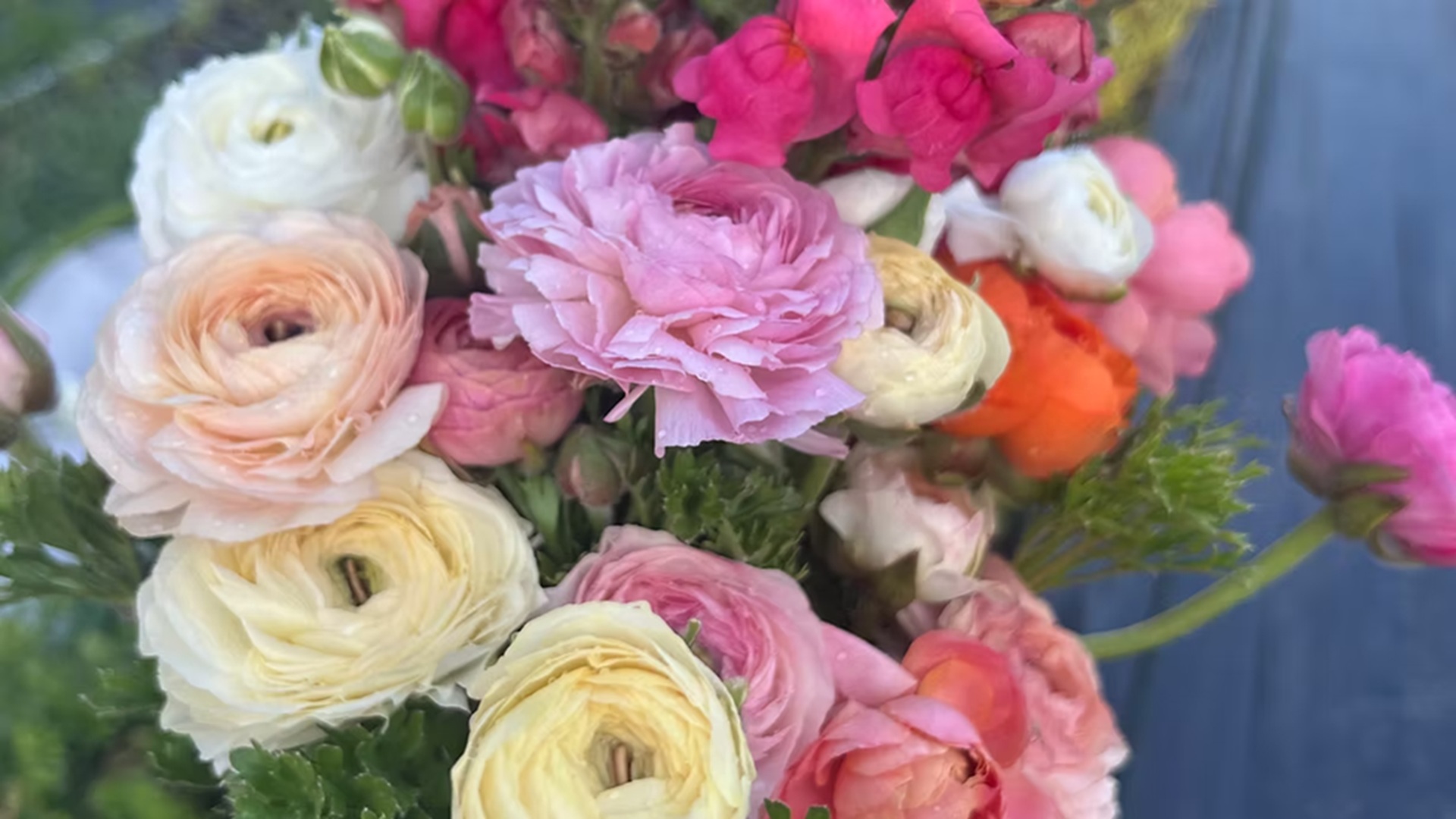 Goats & Blooms at 11 Comanche Trail