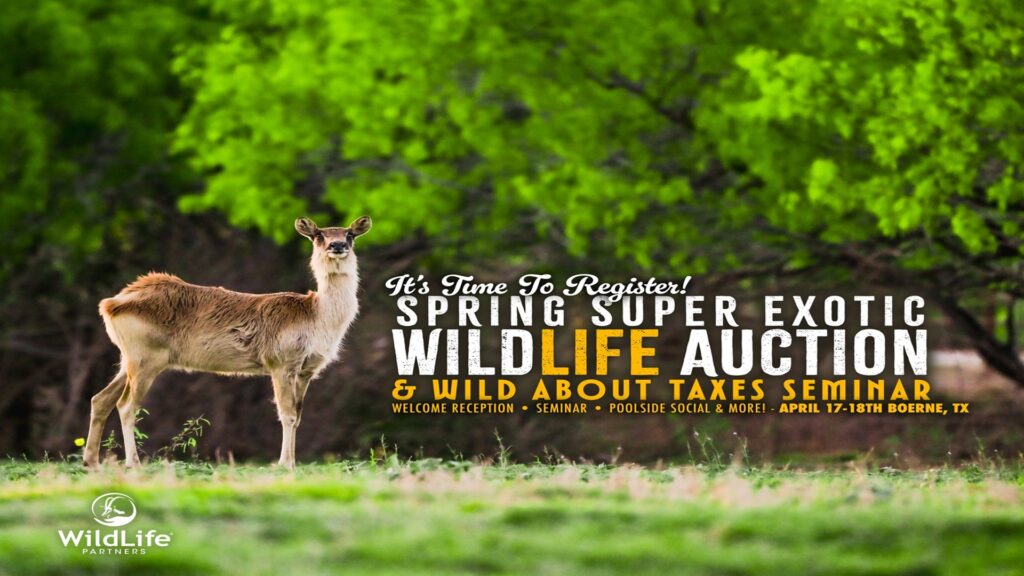 Spring Super Exotic Wildlife Auction & Wild About Taxes Seminar at The Bevy Hotel