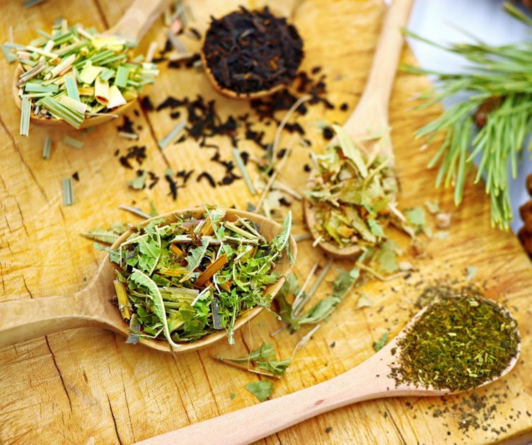 Tea Gardening in Texas at Herff Farm