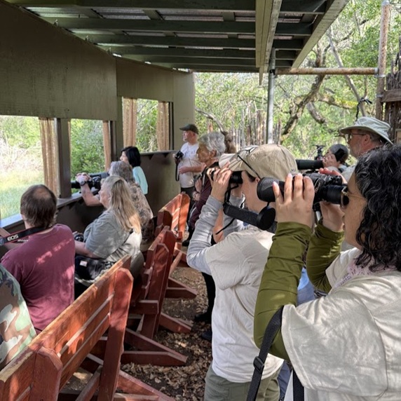 ‘Big Sit’ at the Woodland Blind at Guadalupe River State Park