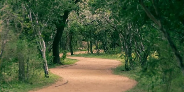 Citywide Community Trail Fun Run/Walk at Cibolo Creek Community Church