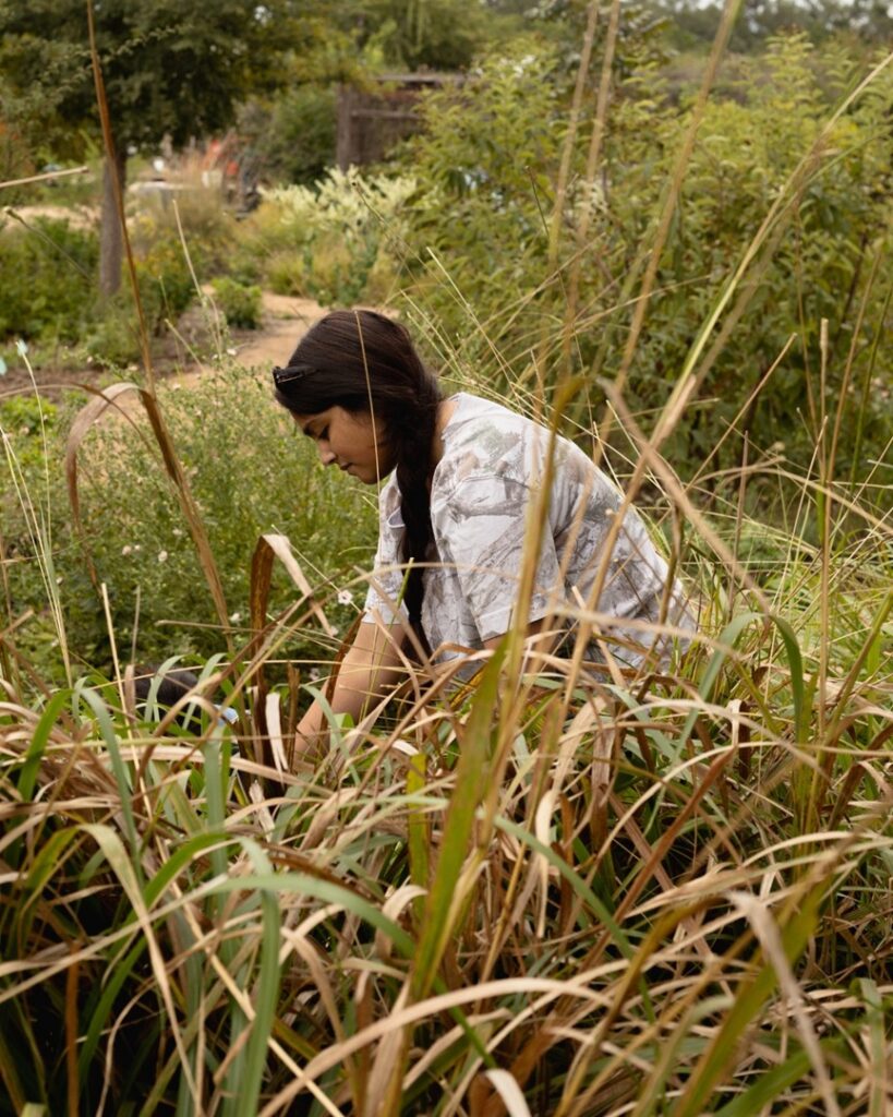Second Saturday Volunteering at Cibolo Nature Center