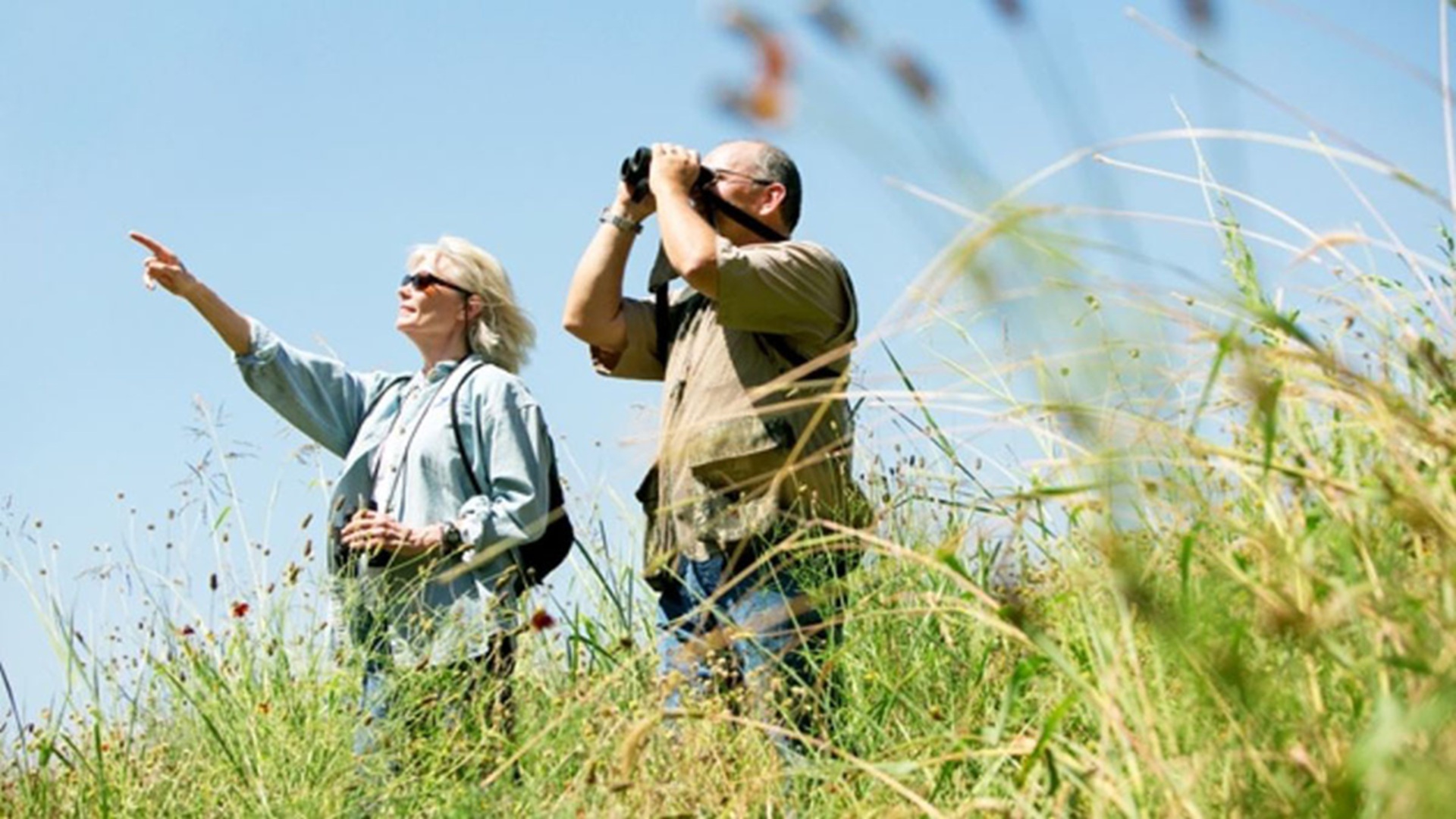 Wildlife Field Research (Trails Closed) at Cibolo Nature Center