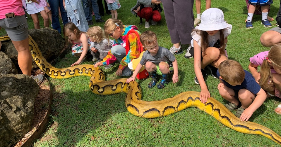 Ancient Animals at Patrick Heath Public Library