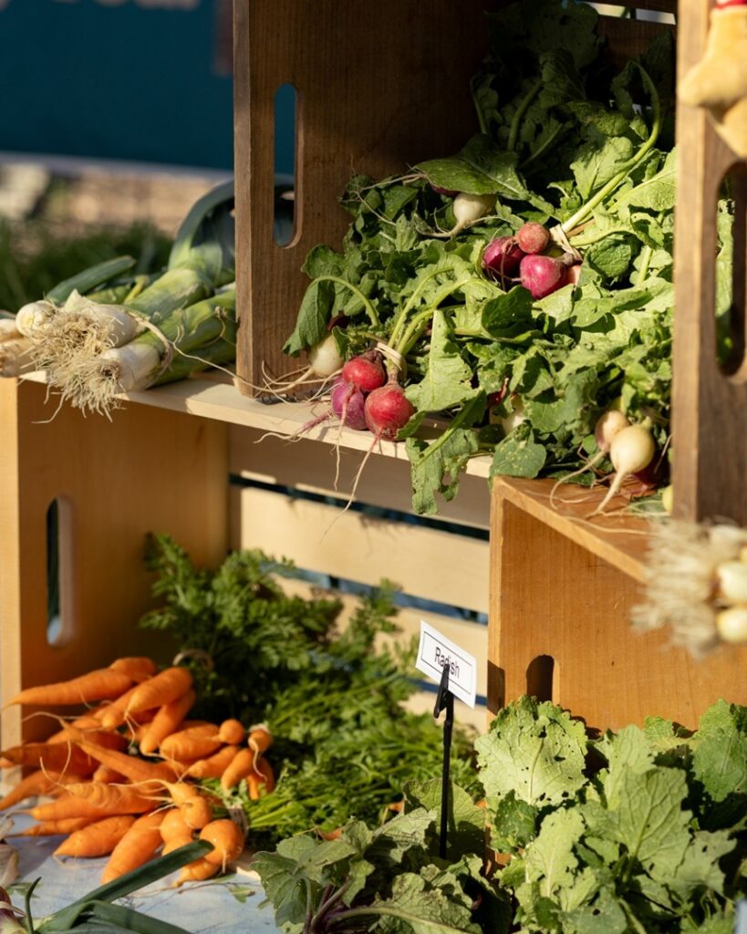 Harvest Day at Herff Farm