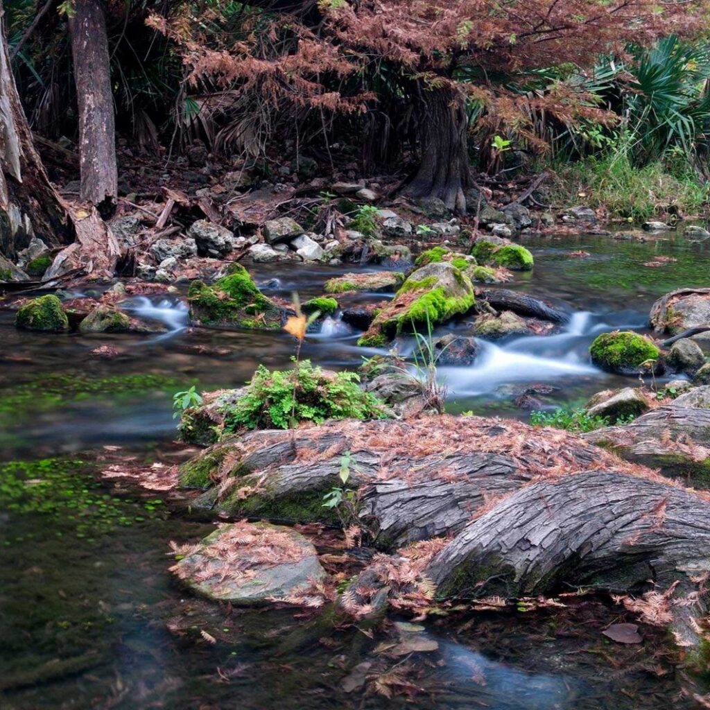 Honey Creek Guided Walks with Ranger Gil at Guadalupe River State Park