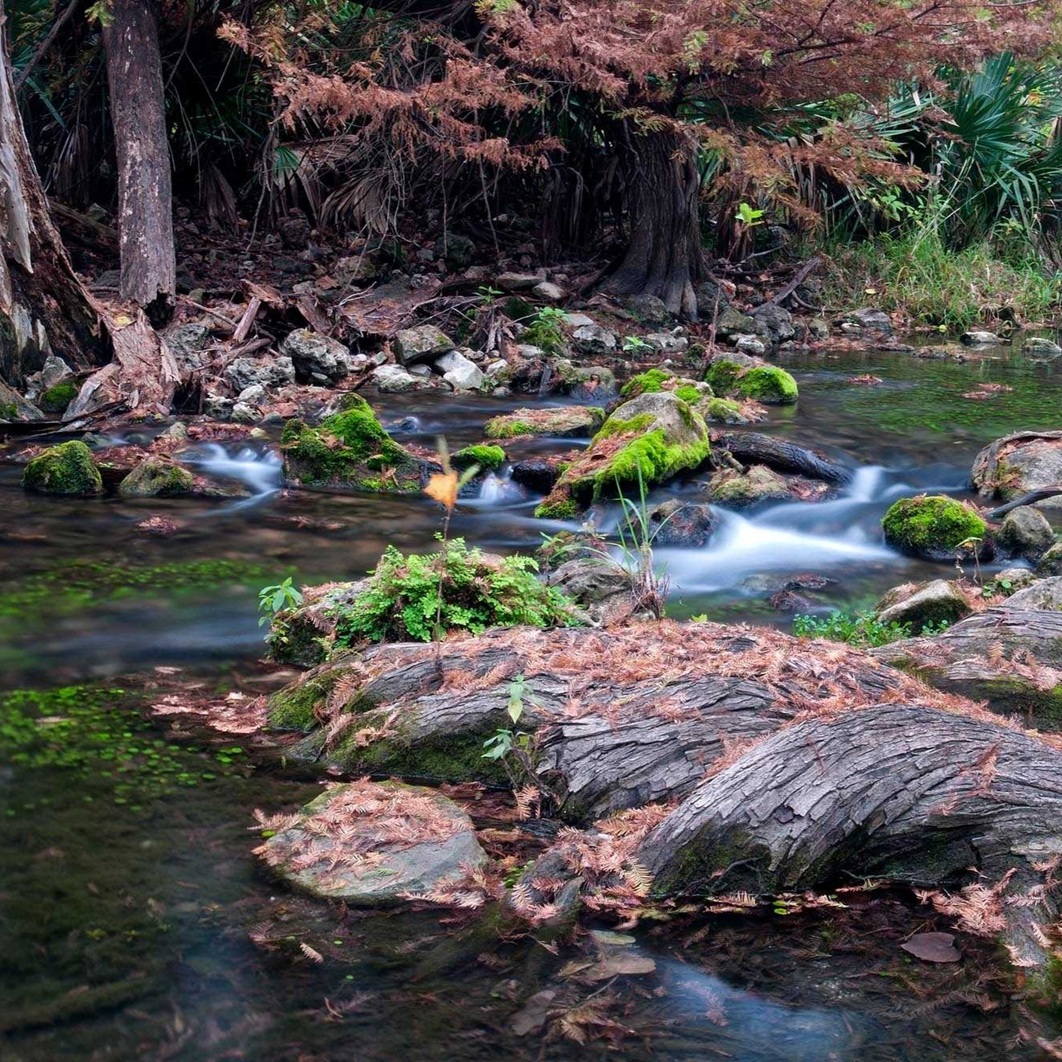 Honey Creek Guided Walks with Ranger Gil at Guadalupe River State Park
