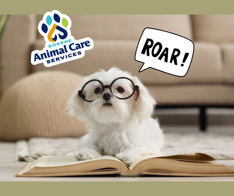 Jurassic Journeys: Roar & Read at Boerne Animal Care Services