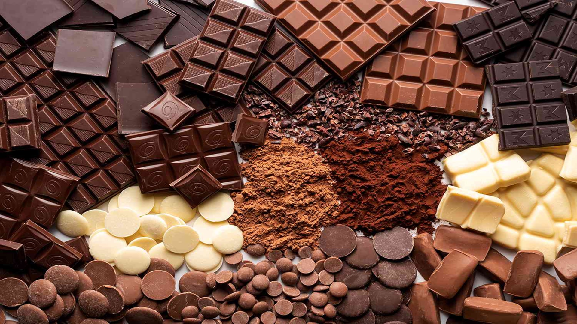 The Chocolate Experience at Herff Farm