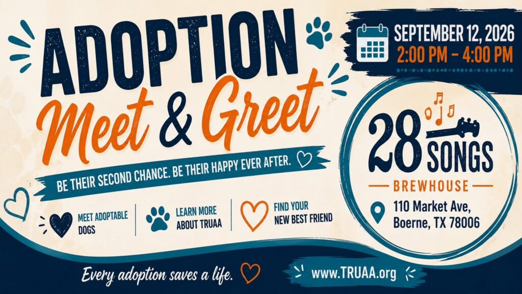 Adoption Meet & Greet at 28 Songs Brewhouse + Kitchen