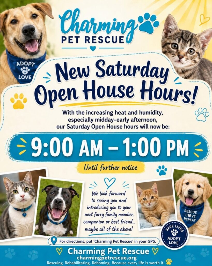 Charming Pet Rescue Adoption Open House at Charming Pet Rescue
