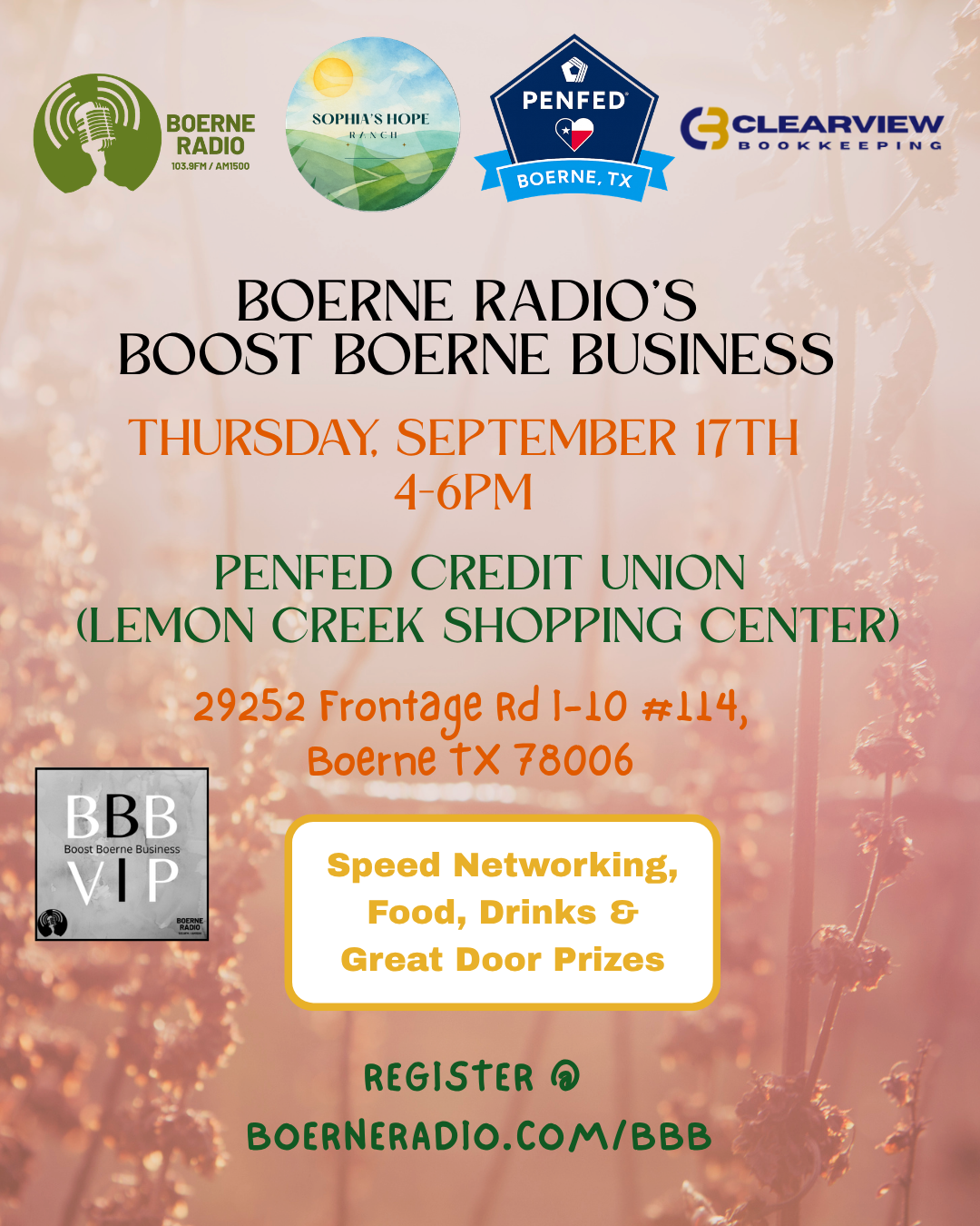 Boost Boerne Business