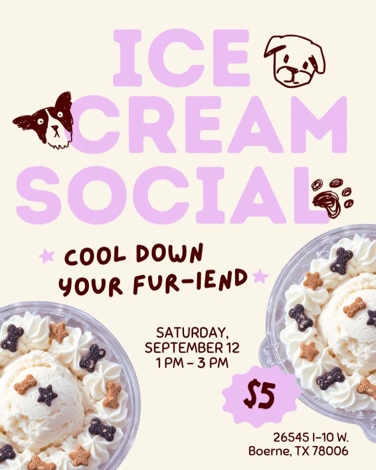 Ice Cream Social at Fetch & Friskers Pet Shop and Barkery
