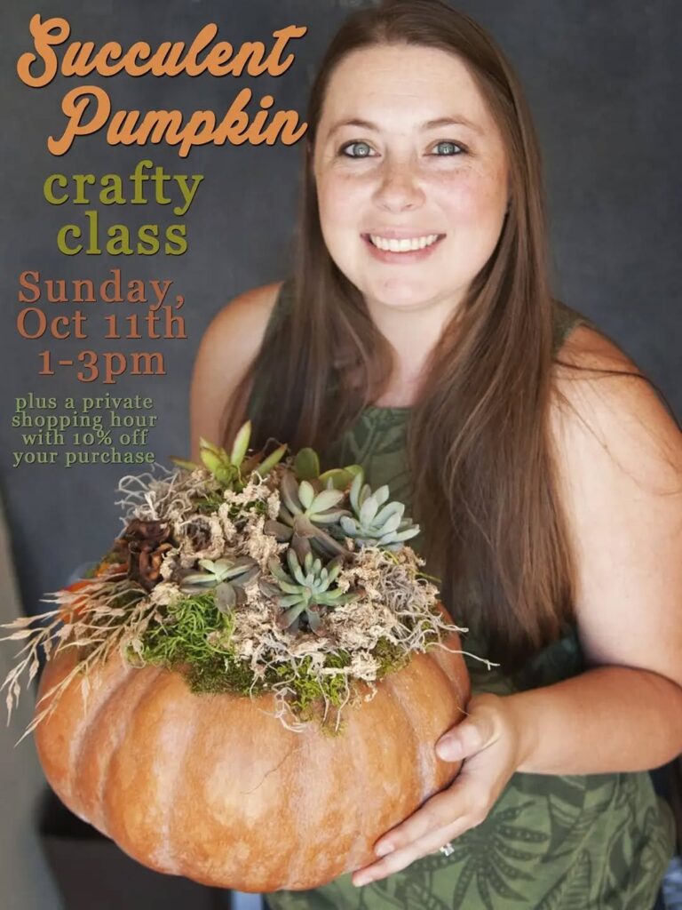 Succulent Pumpkin Crafty Class at Handmade on Main