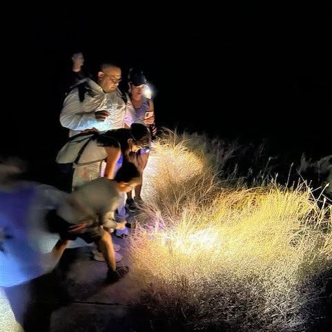 Night Hike at Honey Creek State Natural Area