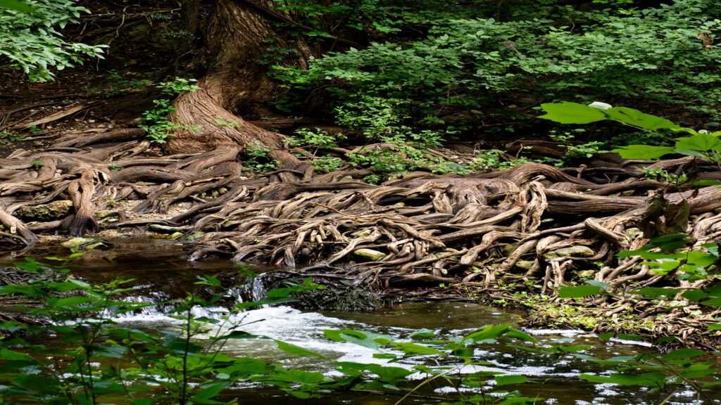 Riparian Landowner Workshop at Cibolo Nature Center